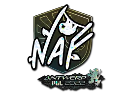 NAF Glitter Antwerp 2022 CSGO Sticker Price CS GO Captain