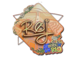 RoeJ Holo Rio 2022 CSGO Sticker Price CS GO Captain