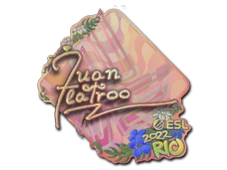 Sticker | juanflatroo (Holo) | Rio 2022