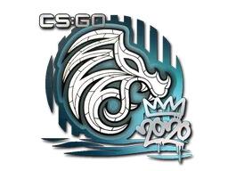 North | 2020 RMR | CSGO Sticker & Price | CS:GO Captain